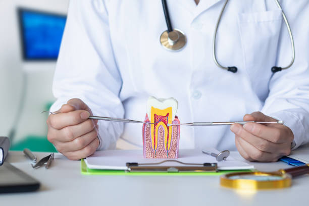 Best Pediatric Emergency Dentist in Homer, LA